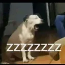 zzz
