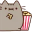 Pusheen Popcorn