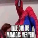 DaleMeriyein