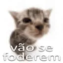 vao se foderem