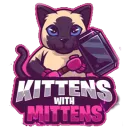 Kittens With Mittens