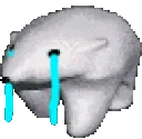 bear cry