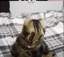 what