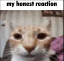 my honest reaction