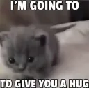 I'm going to give you a hug