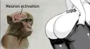 Neuron Activation