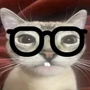 Cat Nerd