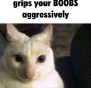 boobs