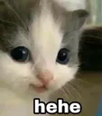 hehehehe