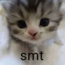 smt