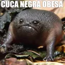 CucaNegra
