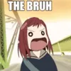 THE BRUH