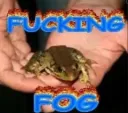 funking fog