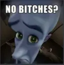 no bitches