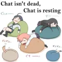 chat is resting