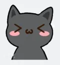 cute cat