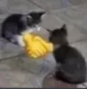 handshake