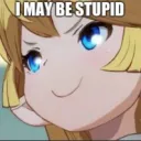 i may be stupi