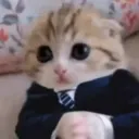 Деловая хуета