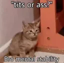 mental_stability