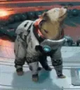 cosmo_dance