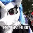notafurry