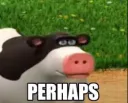 perhaps