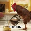 fofoca?