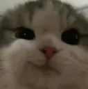 grrrr