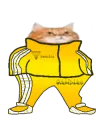 GamdiasCat