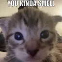 You Kinda Smell
