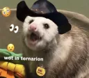 Wot in Ternarion 