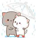 Kitty Rain