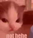 not hehe