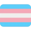 Trans Flag