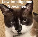 low intelligence specimen