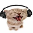 headphonecat