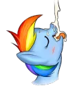 Dashie facial