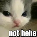 not hehe