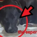 eeper2
