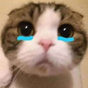 cryy