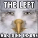 the left has gone insane