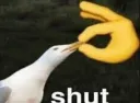 Pls shut