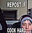 cockhard