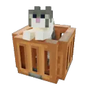 Jellie Box