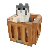 Jellie Box Jellie Box