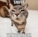 gay