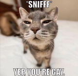 gay