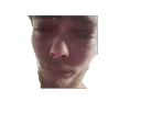 jesusdiesrip