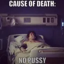 NO KITTY